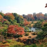 Tokyo itinerary - Autumn