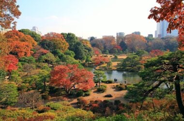 Tokyo itinerary - Autumn