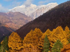 9 Days in the Japanese Alps Autumn Itinerary 2 Japanese Alps in Autumn