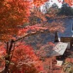 Best day trips from Kyoto in Autumn