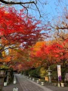 8 Best Day Trips from Kyoto in Autumn 14 Ishiyamadera Temple in autumn looks incredibly beautiful.