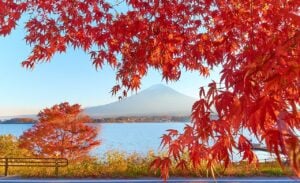 Lake Kawaguchiko and Mount Fuji in the distance. 