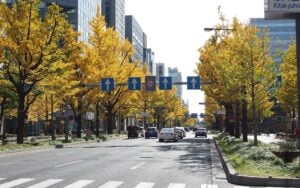 8 Best Day Trips from Kyoto in Autumn 10 Midosuji Avenue, Osaka