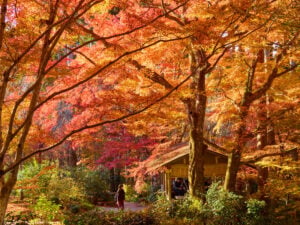 8 Best Day Trips from Kyoto in Autumn 12 Autumn Foliage at Ohara