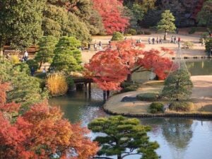 Rikugien Garden in Autumn, Tokyo