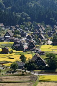 9 Days in the Japanese Alps Autumn Itinerary 5 Steep-roofed gassho-zukuri farmhouses at Shirakawago