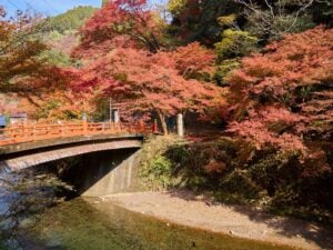 8 Best Day Trips from Kyoto in Autumn 17 Takao is considered of the best places to visit in Kyoto in autumn.